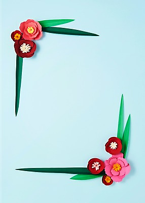 포토 JPG 스튜디오촬영 꽃 종이 잎 사진 나뭇잎 프레임 실내 사람없음 보자기 페이퍼아트 카네이션 종이공예 동백 국내포토 식물 내부 공예 파일형식 천_직물