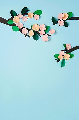 포토 JPG 스튜디오촬영 꽃 종이 잎 사진 나뭇잎 프레임 실내 사람없음 벚꽃 보자기 페이퍼아트 벚나무 종이공예 스타티스 국내포토 나무 식물 내부 공예 파일형식 천_직물