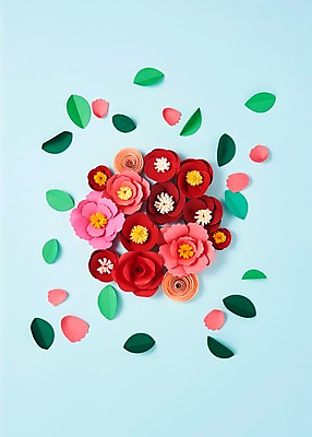 포토 JPG 스튜디오촬영 꽃잎 꽃 종이 잎 사진 나뭇잎 실내 사람없음 장미 보자기 페이퍼아트 카네이션 종이공예 동백 낙화 국내포토 식물 내부 공예 파일형식 천_직물