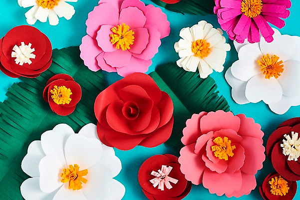 포토 JPG 스튜디오촬영 꽃 종이 잎 사진 나뭇잎 실내 근접촬영 사람없음 장미 보자기 페이퍼아트 종이공예 코스모스 동백 국내포토 식물 뷰포인트 내부 공예 파일형식 천_직물