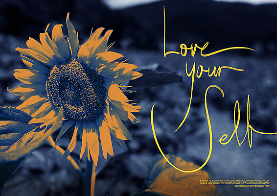 PSD 편집이미지 꽃 캘리그라피 해바라기 사람없음 반전 이미지편집 식물 컨셉 파일형식