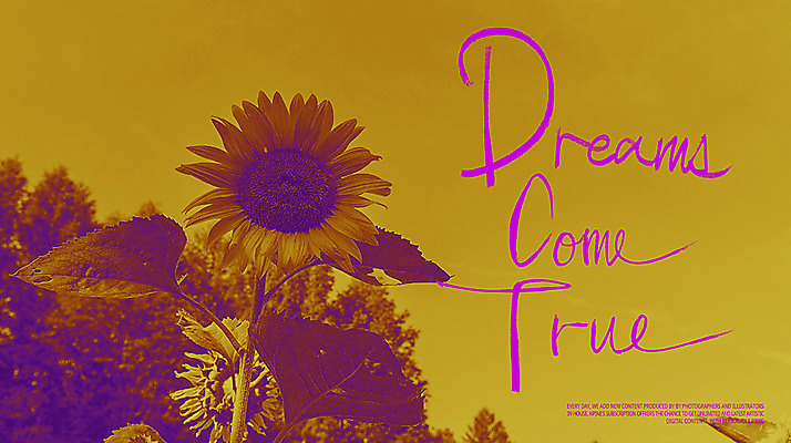 PSD 편집이미지 꽃 캘리그라피 해바라기 사람없음 반전 이미지편집 식물 컨셉 파일형식