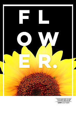 PSD 편집이미지 꽃 해바라기 타이포그라피 사람없음 디지털합성 합성 이미지편집 식물 문자 파일형식