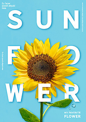 PSD 편집이미지 꽃 해바라기 타이포그라피 사람없음 물방울 합성 이미지편집 식물 문자 파일형식