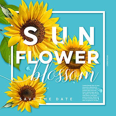 PSD 편집이미지 꽃 나뭇잎 해바라기 타이포그라피 사람없음 물방울 합성 이미지편집 식물 문자 잎 파일형식