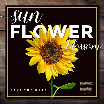 PSD 편집이미지 꽃 해바라기 타이포그라피 사람없음 목재 합성 이미지편집 나무 식물 문자 재료 파일형식