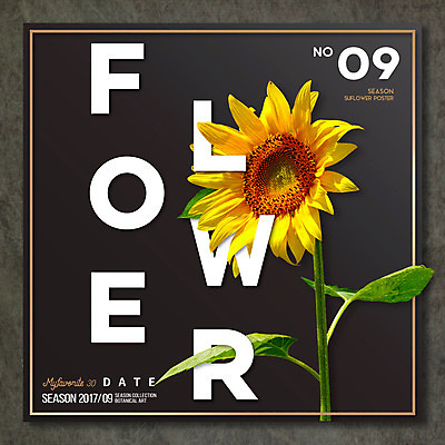 PSD 편집이미지 꽃 나뭇잎 해바라기 타이포그라피 사람없음 합성 이미지편집 식물 문자 잎 파일형식