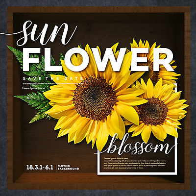 PSD 편집이미지 꽃 나뭇잎 해바라기 타이포그라피 사람없음 합성 이미지편집 식물 문자 잎 파일형식