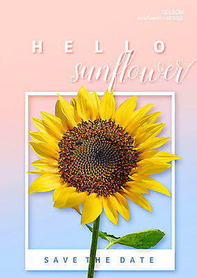 PSD 편집이미지 꽃 해바라기 타이포그라피 사람없음 합성 그라데이션 이미지편집 식물 문자 파일형식