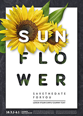 PSD 편집이미지 꽃 나뭇잎 해바라기 타이포그라피 사람없음 합성 이미지편집 식물 문자 잎 파일형식