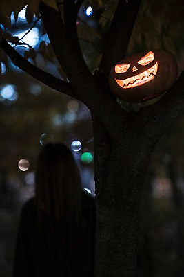포토 JPG 나무 여자 한명 성인 야외 앞모습 아웃포커스 할로윈 야간 공포 잭오랜턴 국내포토 자연요소 식물 1 뷰포인트 촬영기법 사람 파일형식
