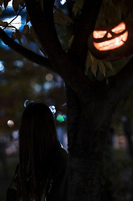 포토 JPG 나무 여자 한명 서기 상반신 성인 야외 앞모습 아웃포커스 할로윈 야간 공포 잭오랜턴 국내포토 자연요소 식물 1 뷰포인트 모션 촬영기법 사람 파일형식