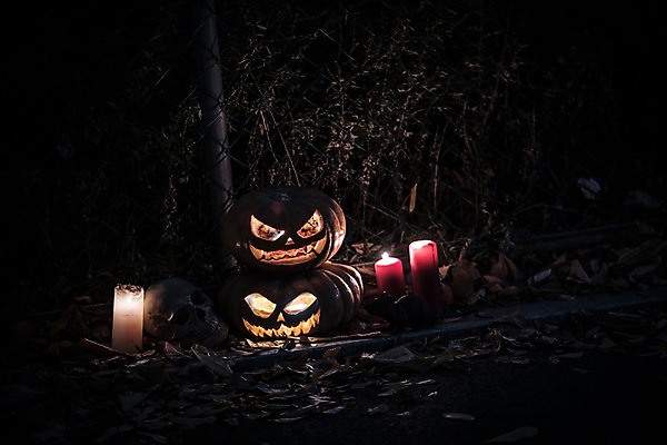 포토 JPG 나무 촛불 나뭇잎 사람없음 야외 빛 할로윈 야간 공포 잭오랜턴 국내포토 자연요소 식물 잎 초 파일형식