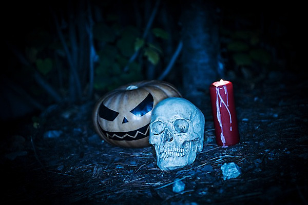 포토 JPG 나무 촛불 해골 사람없음 야외 할로윈 야간 공포 잭오랜턴 국내포토 자연요소 식물 초 뼈 파일형식