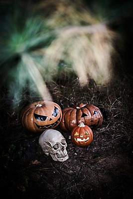 포토 JPG 나뭇잎 해골 사람없음 야외 아웃포커스 할로윈 야간 공포 잭오랜턴 국내포토 자연요소 잎 뼈 촬영기법 파일형식