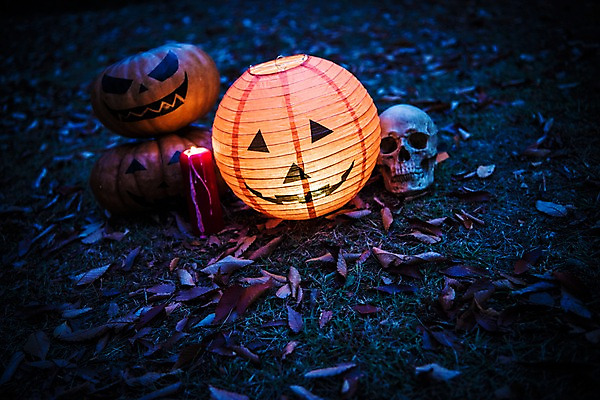 포토 JPG 나뭇잎 조명 해골 사람없음 야외 빛 할로윈 야간 공포 잭오랜턴 국내포토 자연요소 잎 뼈 파일형식