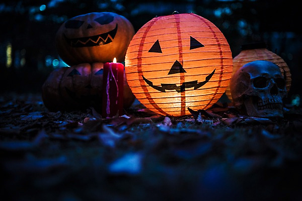 포토 JPG 나뭇잎 조명 해골 사람없음 야외 아웃포커스 빛 할로윈 야간 공포 잭오랜턴 국내포토 자연요소 잎 뼈 촬영기법 파일형식