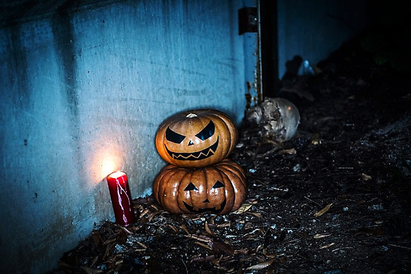 포토 JPG 촛불 나뭇잎 해골 사람없음 야외 빛 할로윈 야간 공포 잭오랜턴 국내포토 자연요소 잎 초 뼈 파일형식