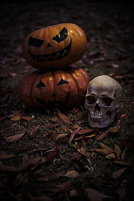 포토 JPG 나뭇잎 해골 사람없음 야외 아웃포커스 할로윈 야간 공포 잭오랜턴 국내포토 자연요소 잎 뼈 촬영기법 파일형식