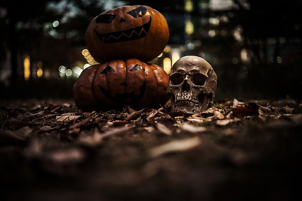 포토 JPG 나뭇잎 해골 사람없음 야외 아웃포커스 할로윈 야간 공포 잭오랜턴 국내포토 자연요소 잎 뼈 촬영기법 파일형식