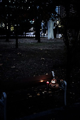 포토 JPG 나무 벤치 촛불 사람없음 야외 아웃포커스 빛 할로윈 유령 야간 공포 잭오랜턴 국내포토 자연요소 식물 의자 초 촬영기법 파일형식