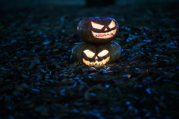 포토 JPG 나뭇잎 사람없음 야외 빛 할로윈 야간 공포 잭오랜턴 국내포토 자연요소 잎 파일형식