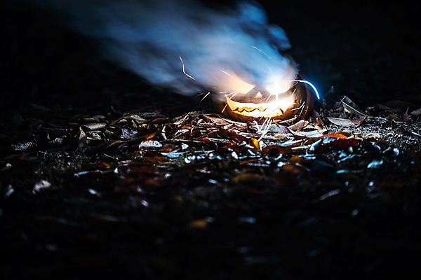 포토 JPG 나뭇잎 폭죽 사람없음 야외 빛 할로윈 야간 공포 잭오랜턴 국내포토 자연요소 잎 파일형식