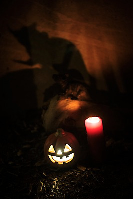 포토 JPG 촛불 그림자 사람없음 야외 빛 할로윈 야간 공포 잭오랜턴 국내포토 자연요소 초 파일형식