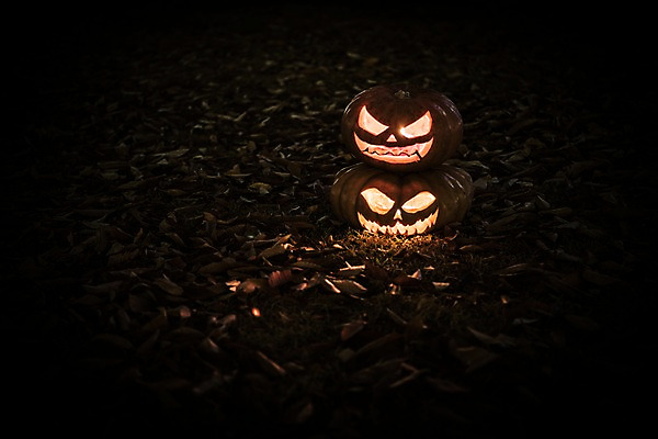 포토 JPG 나뭇잎 사람없음 야외 아웃포커스 빛 할로윈 야간 공포 잭오랜턴 국내포토 자연요소 잎 촬영기법 파일형식