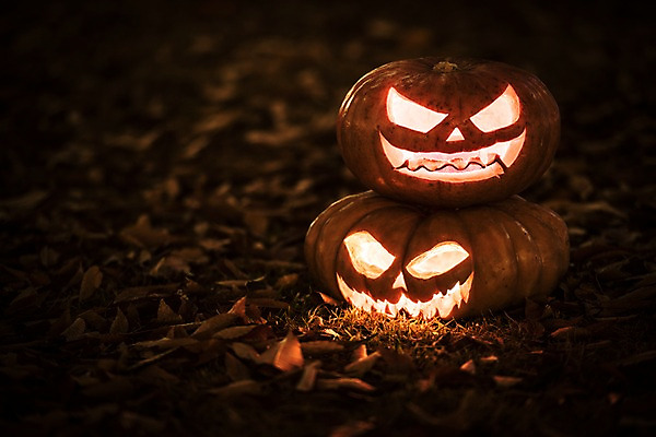 포토 JPG 나뭇잎 사람없음 야외 아웃포커스 빛 할로윈 야간 공포 잭오랜턴 국내포토 자연요소 잎 촬영기법 파일형식