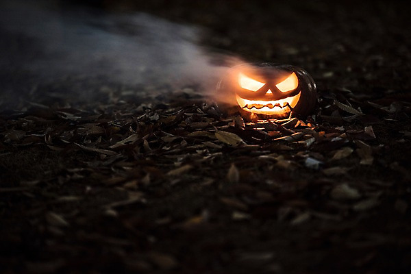 포토 JPG 불꽃 나뭇잎 사람없음 야외 아웃포커스 빛 할로윈 야간 공포 잭오랜턴 국내포토 자연요소 잎 불 촬영기법 파일형식