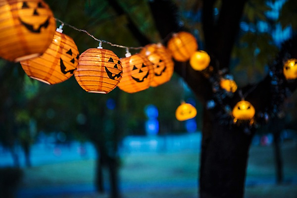 포토 JPG 나무 조명 사람없음 야외 아웃포커스 할로윈 야간 공포 잭오랜턴 국내포토 자연요소 식물 촬영기법 파일형식