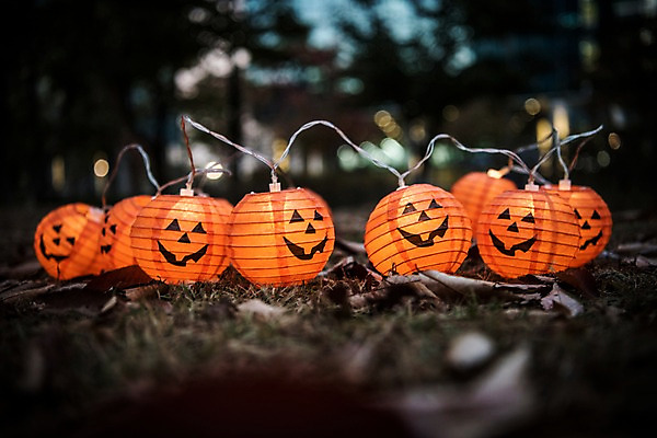 포토 JPG 나뭇잎 조명 사람없음 야외 아웃포커스 할로윈 랜턴 야간 공포 잭오랜턴 국내포토 자연요소 잎 촬영기법 파일형식