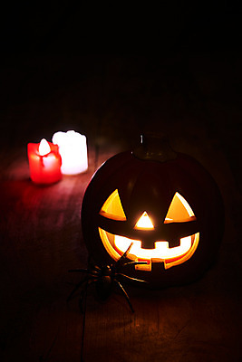 포토 JPG 스튜디오촬영 촛불 실내 사람없음 빛 할로윈 공포 거미 잭오랜턴 국내포토 곤충 초 내부 파일형식