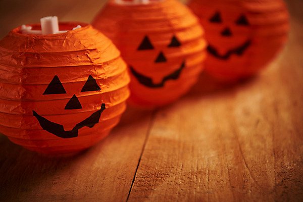 포토 JPG 스튜디오촬영 조명 실내 근접촬영 사람없음 할로윈 잭오랜턴 나무배경 국내포토 뷰포인트 백그라운드 내부 파일형식