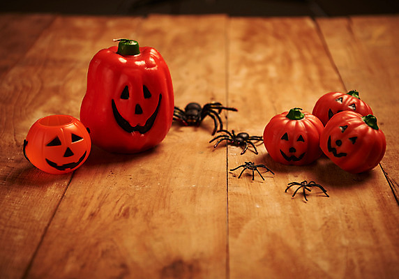 포토 JPG 스튜디오촬영 호박 실내 사람없음 아웃포커스 할로윈 거미 잭오랜턴 나무배경 국내포토 곤충 백그라운드 채소 촬영기법 내부 파일형식