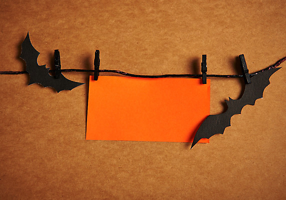 포토 JPG 스튜디오촬영 프레임 실내 사람없음 할로윈 메모지 박쥐 국내포토 포유류 내부 사무용품 파일형식