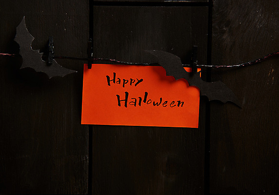 포토 JPG 스튜디오촬영 종이 실내 사람없음 할로윈 메모지 박쥐 국내포토 포유류 내부 사무용품 파일형식