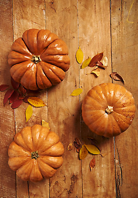 포토 JPG 스튜디오촬영 호박 나뭇잎 실내 사람없음 하이앵글 할로윈 나무배경 국내포토 뷰포인트 백그라운드 잎 채소 내부 파일형식