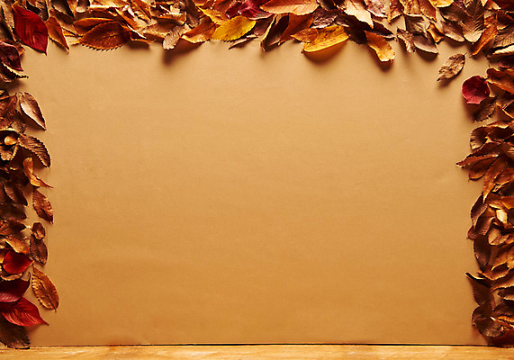 포토 JPG 스튜디오촬영 낙엽 나뭇잎 프레임 실내 사람없음 할로윈 국내포토 잎 내부 파일형식