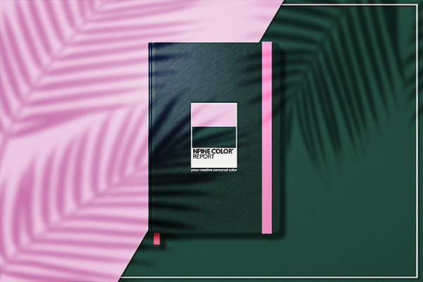 PSD 편집이미지 분홍색 컬러 나뭇잎 그림자 사람없음 책 초록색 디지털합성 합성 조합 이미지편집 컬러칩 잎 파일형식