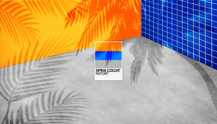 PSD 편집이미지 컬러 나뭇잎 그림자 사람없음 파란색 노란색 회색 타일 디지털합성 합성 조합 이미지편집 컬러칩 잎 파일형식