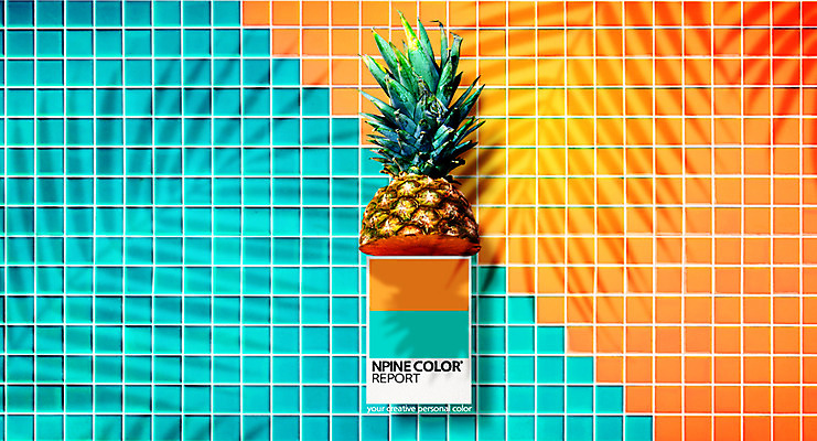 PSD 편집이미지 컬러 하늘색 나뭇잎 그림자 사람없음 주황색 디지털합성 파인애플 합성 조합 이미지편집 컬러칩 잎 과일 파란색 열대과일 파일형식