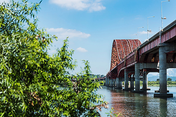 포토 JPG 주간 나무 건축 하늘 서울 한국 풍경 사람없음 야외 아웃포커스 한강 방화대교 한강다리 가교 국내포토 자연요소 식물 건축물 아시아 촬영기법 다리_건축물 랜드마크 파일형식