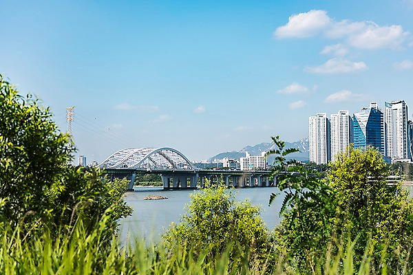 포토 JPG 주간 나무 건축 하늘 서울 한국 풍경 빌딩 사람없음 야외 건물 아웃포커스 풀 한강 한강다리 가교 양화대교 국내포토 자연요소 식물 건축물 아시아 촬영기법 다리_건축물 랜드마크 파일형식