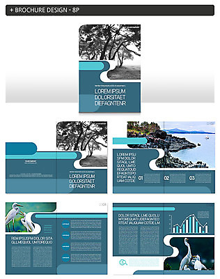나무 템플릿 ZIP 바다 여행 여러마리 자연 조류 풍경 팜플렛 해변 사람없음 인디자인 INDD 이미지템플릿 식물 동물 다수 생태계 파일형식