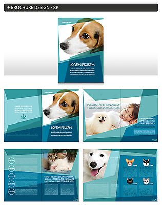 동물 템플릿 여자 ZIP 여러마리 한명 팜플렛 20대 성인 반려동물 고양이 다양 한국인 개 강아지 비글 사모예드 반려 포메라니안 성인여자한명만 인디자인 INDD 이미지템플릿 1 다수 포유류 사람 동양인 청년 여자한명만 성인여자만 파일형식