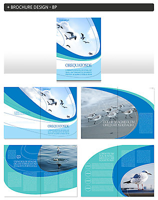 템플릿 ZIP 여러마리 조류 풍경 팜플렛 해변 사람없음 비행 철새 인디자인 INDD 이미지템플릿 동물 바다 다수 파일형식