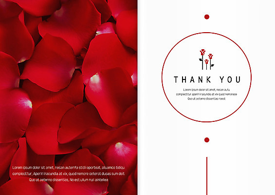 템플릿 꽃잎 선 카드템플릿 사람없음 장미 원형 감사카드 감사 초대장 이미지템플릿 AI파일 도형 꽃 감정 카드_감사 파일형식 벡터