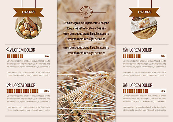 템플릿 편집 표지디자인 북디자인 출판디자인 내지 빵 리플렛 북커버 3단접지 그래프 곡류 팜플렛 사람없음 바게트 이삭 이미지템플릿 AI파일 음식 파일형식 벡터